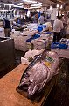 Tsukiji fish market